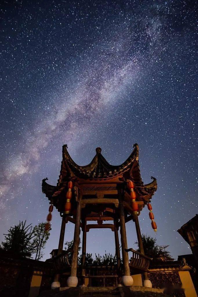 碰到一只流浪狗 看了它一眼之后 就像着了魔似的跟着我