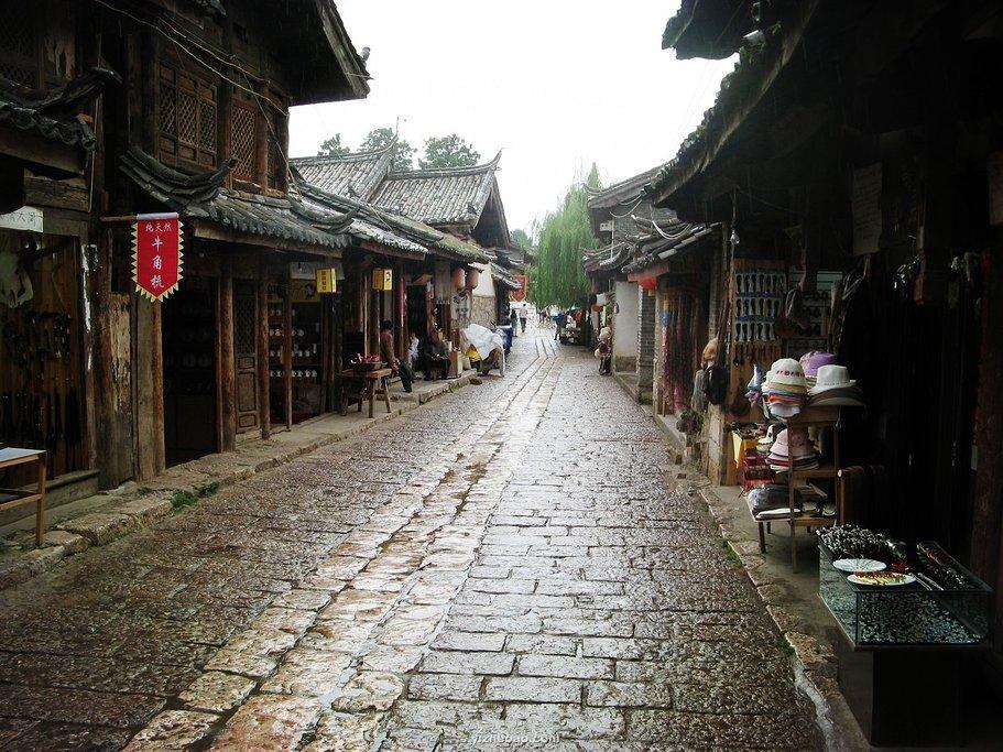 救援卷耳兔